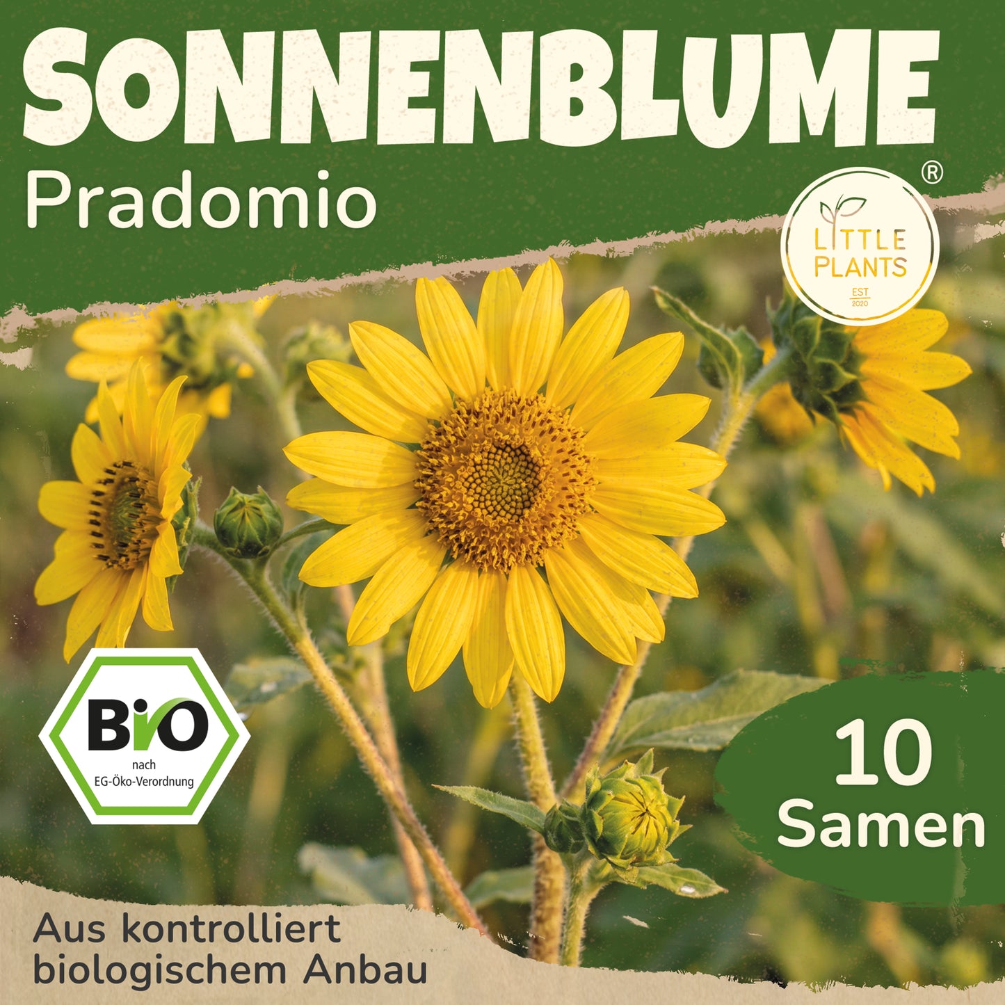 Bio-Sonnenblume (Pradomio)