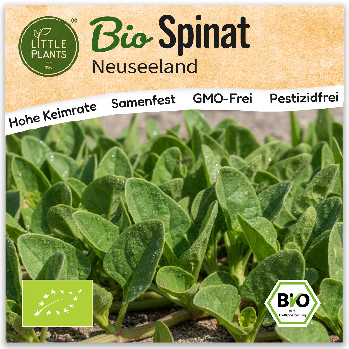 Bio-Spinat (Neuseeland)