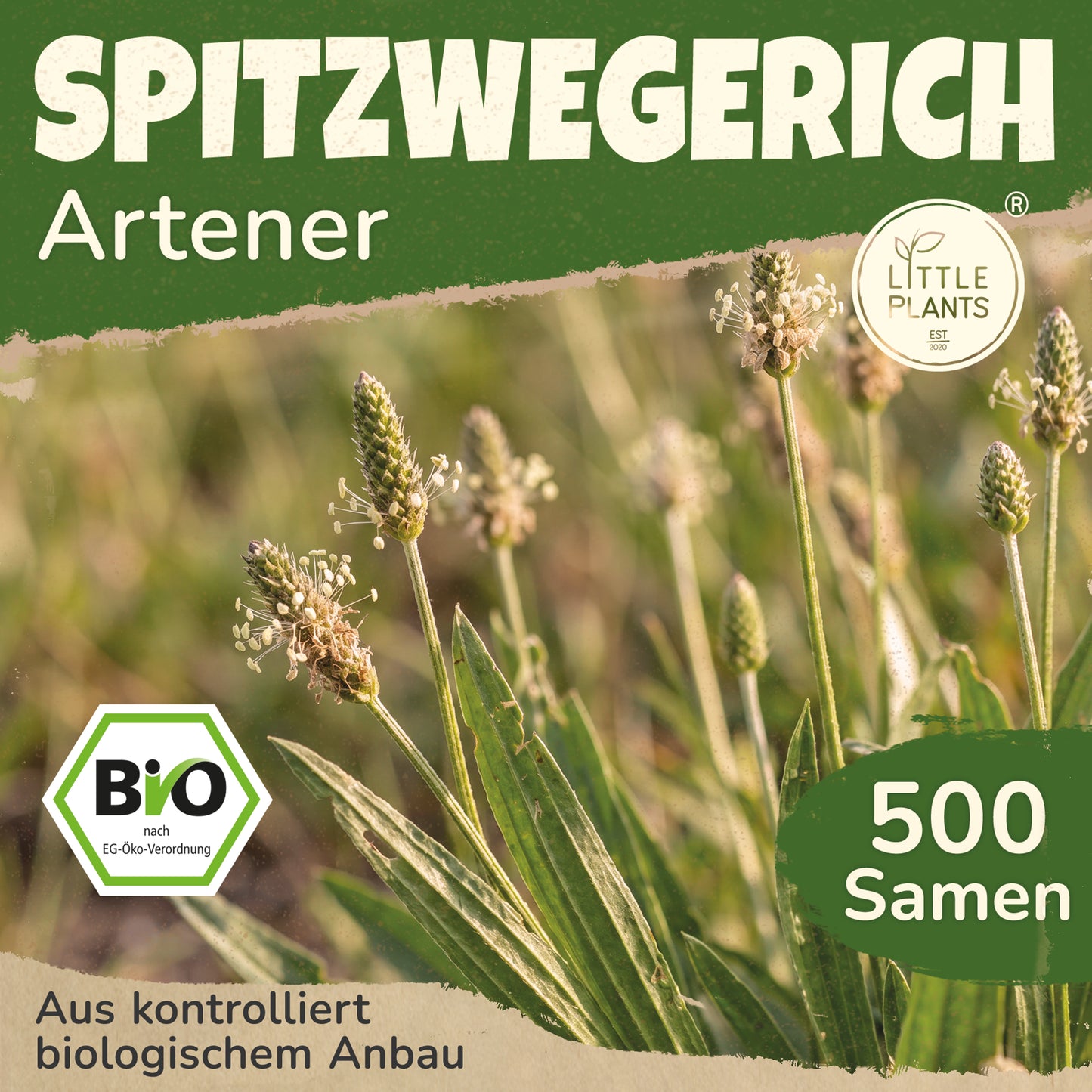 Bio-Spitzwegerich (Artener)