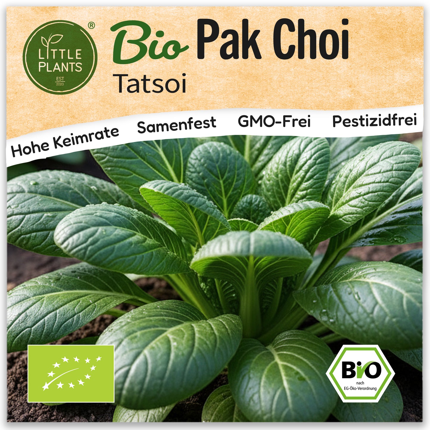 Bio-Pak Choi (Tatsoi)