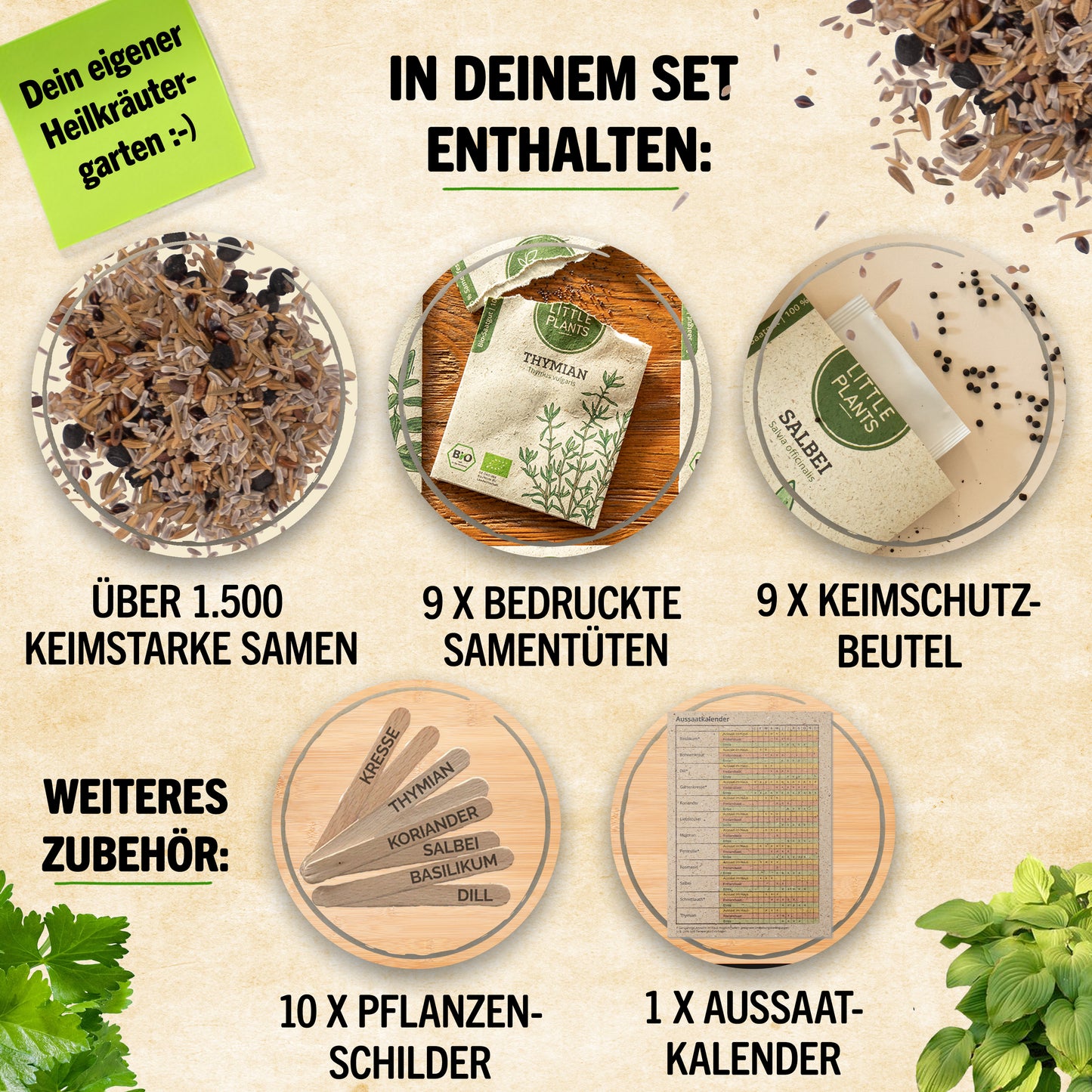 Bio-Heilkräuter Samen Set mit 9 Sorten