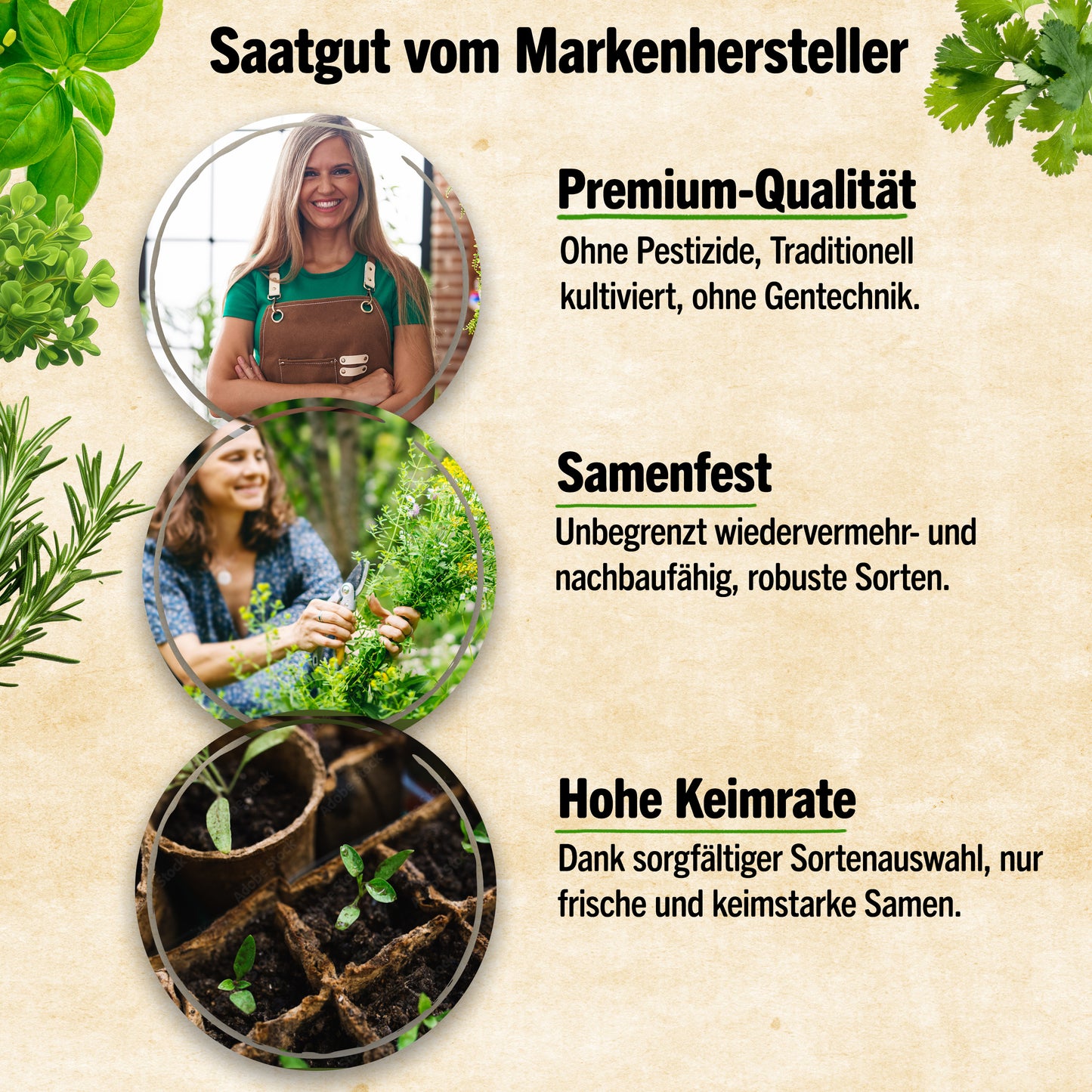 Bio-Heilkräuter Samen Set mit 9 Sorten