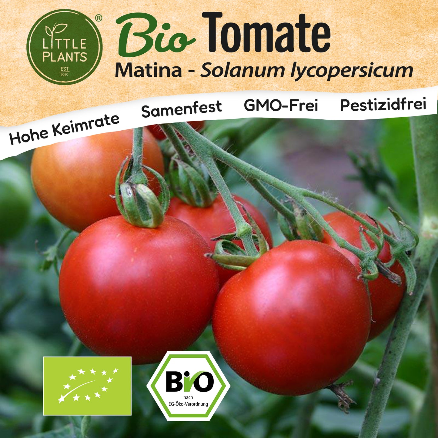 Bio-Tomate (Matina)