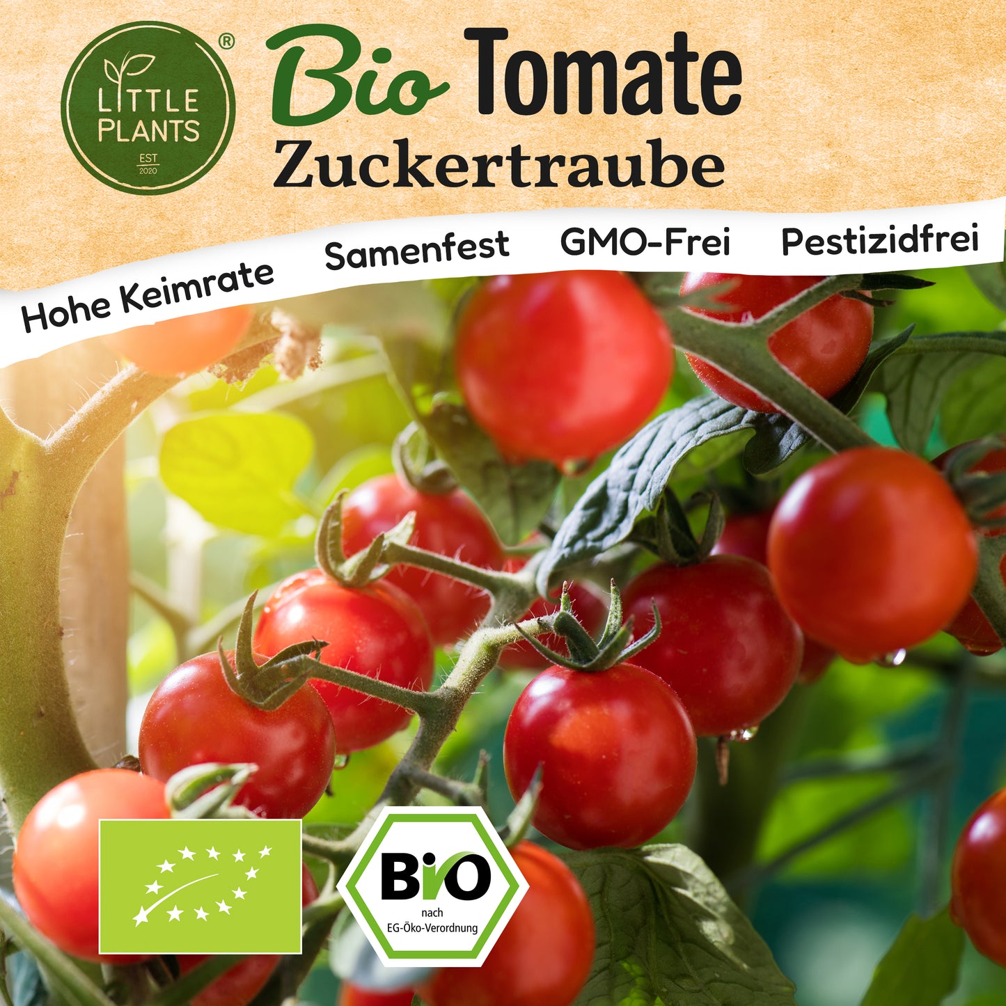 Bio-Tomate (Zuckertraube)