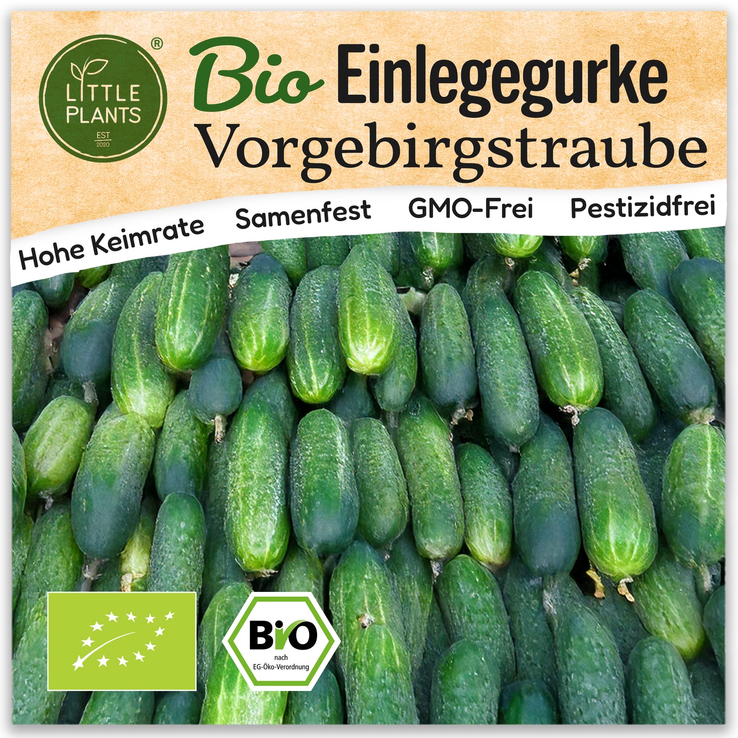 Bio-Gurke (Vorgebirgstraube)