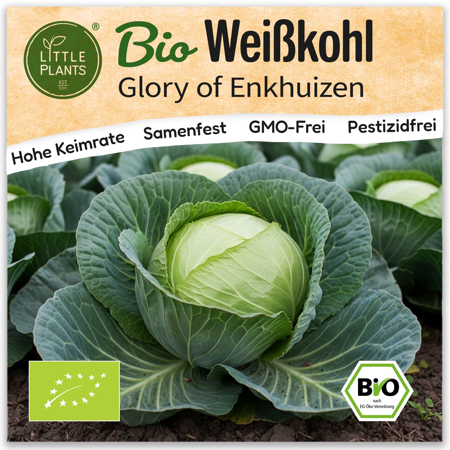 Bio-Weißkohl (Glory of Enkhuizen 2)