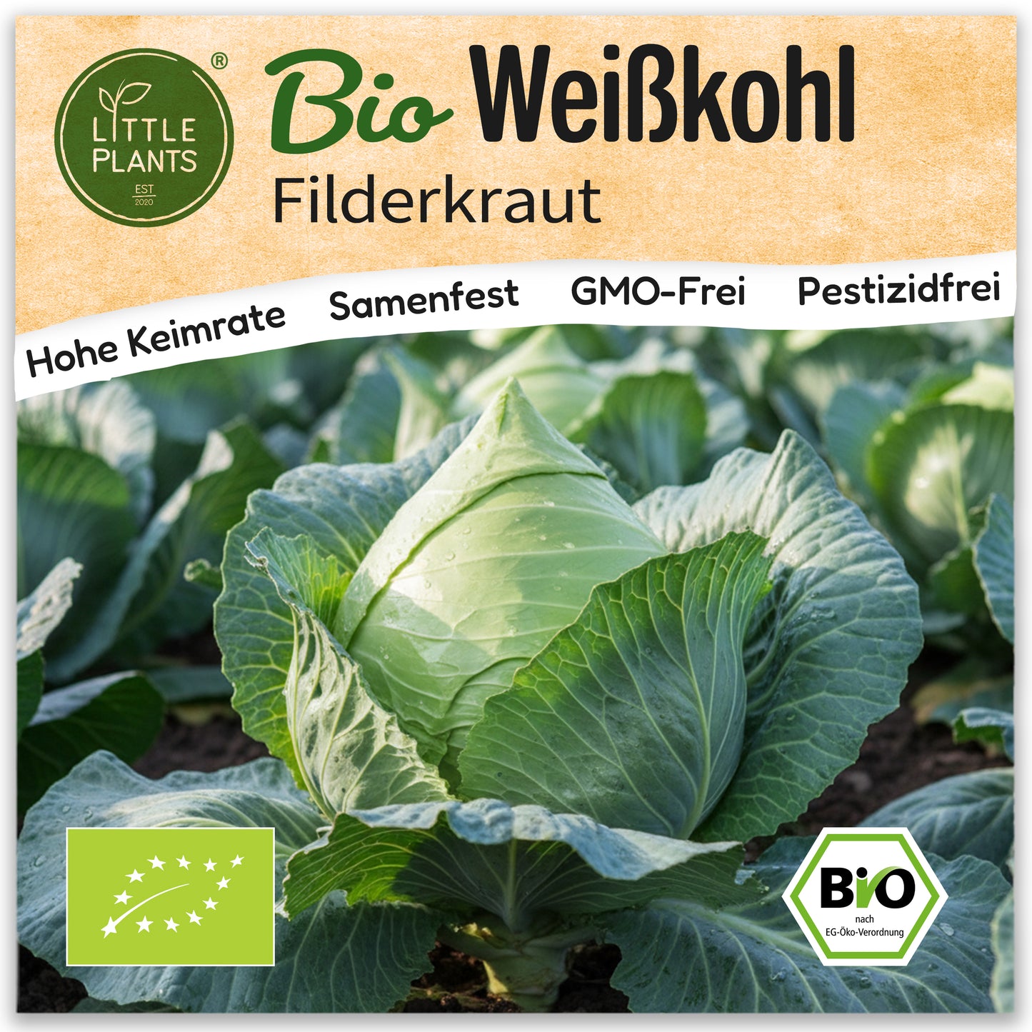 Bio-Weißkohl (Fliderkraut)