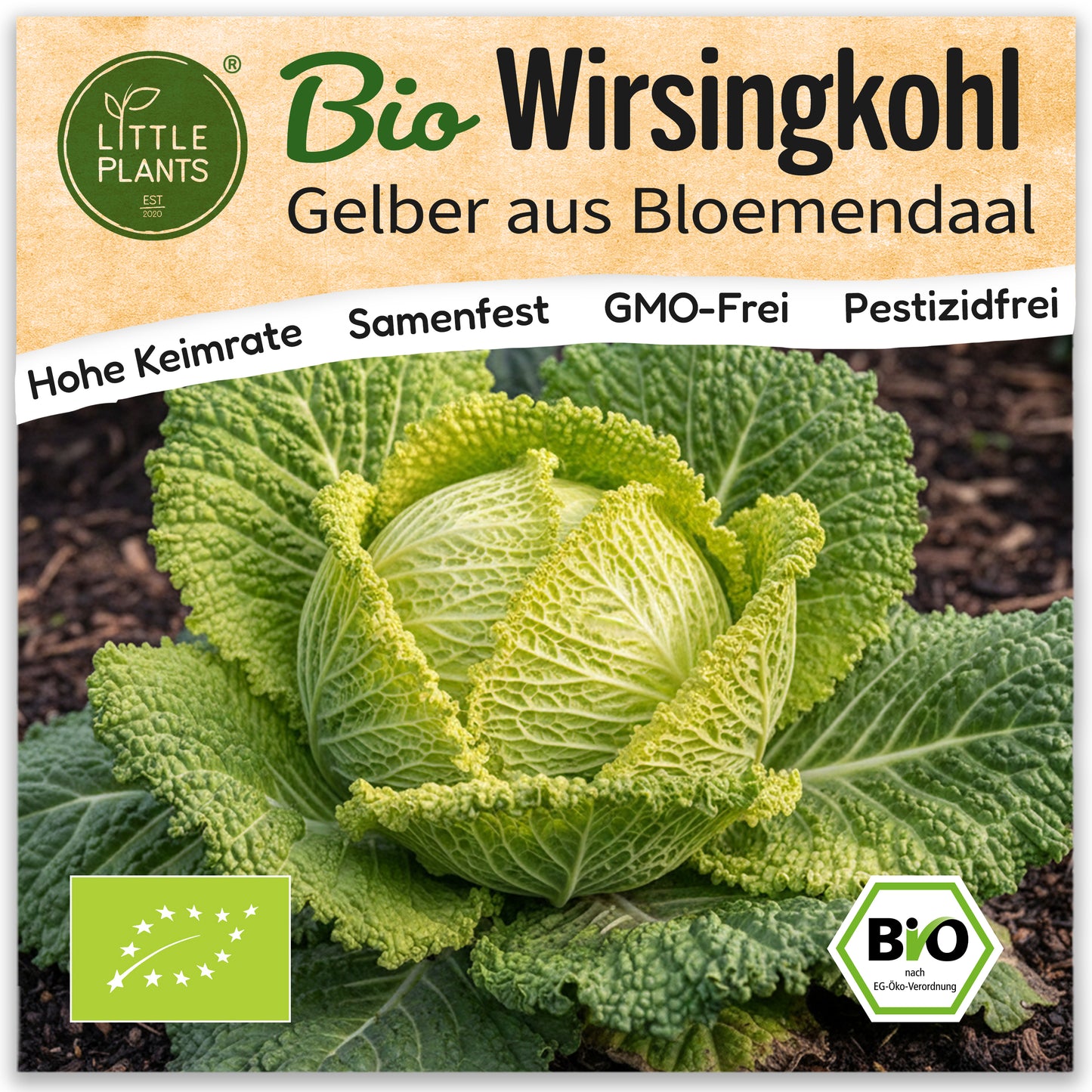 Bio-Wirsing (Bloemendaalse Gele)