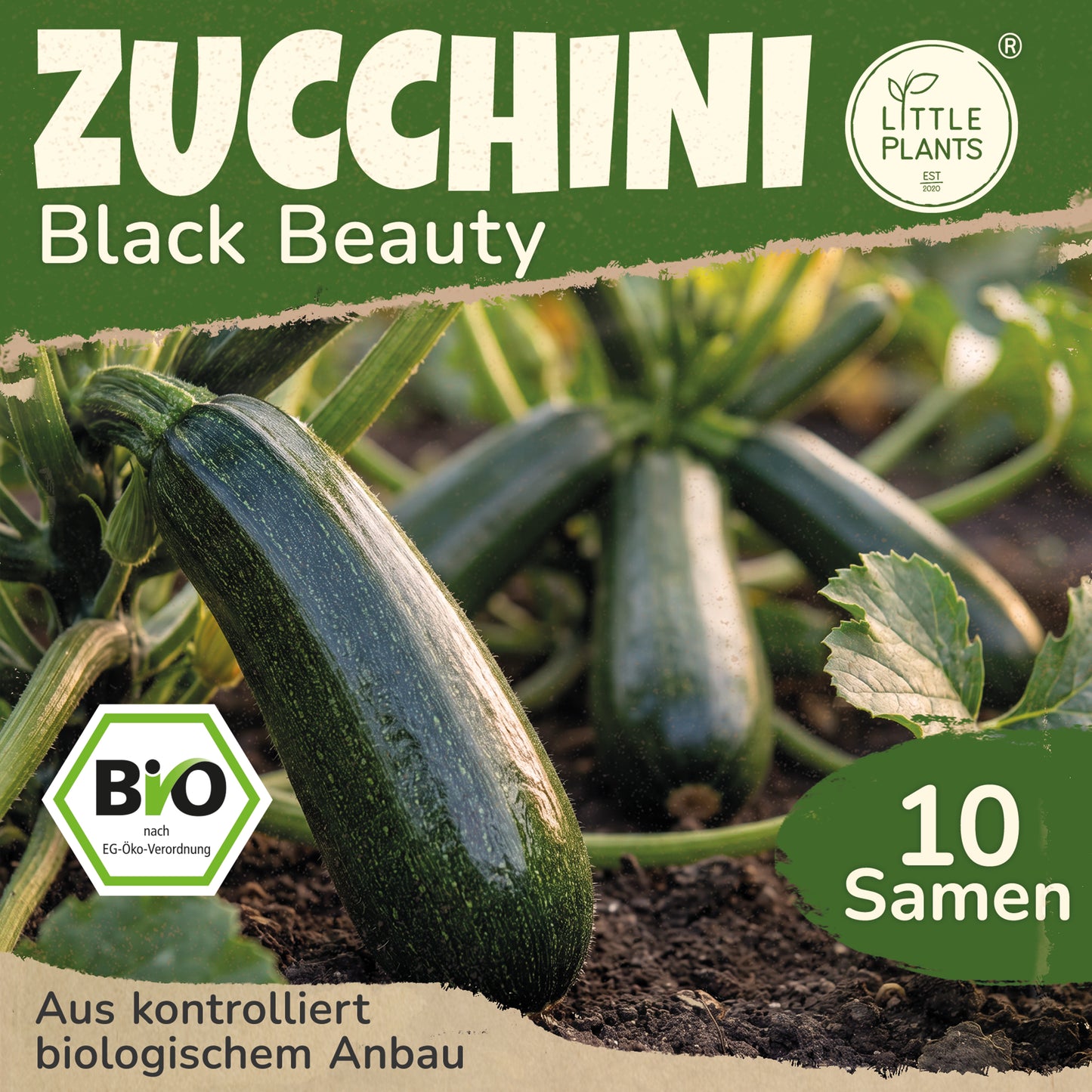 Bio-Zucchini (Black Beauty)