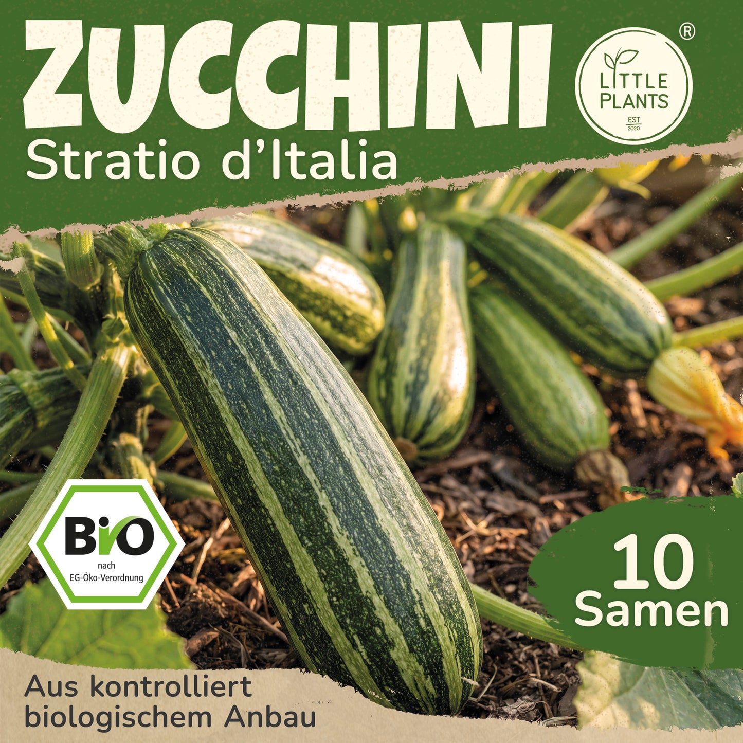 Bio-Zucchini (Striato d'Italia)