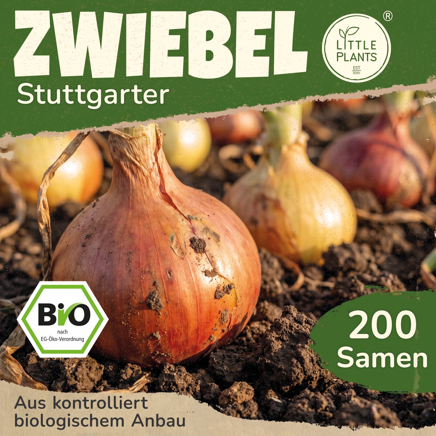 Bio-Zwiebel (Stuttgarter)