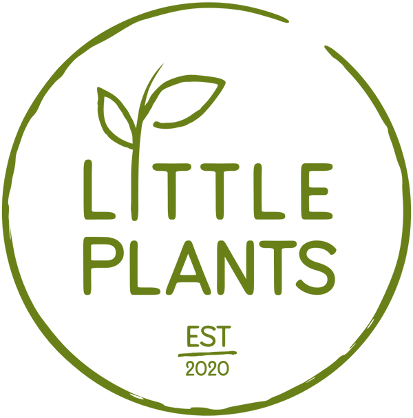 Little Plants