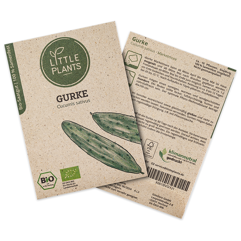 Bio-Gurke (Marketmore)