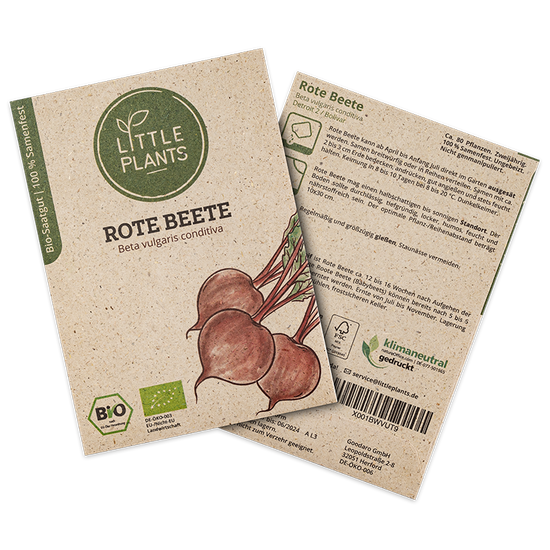 Bio-Rote Beete (Beta vulgaris conditiva) | 80 Pflanzen