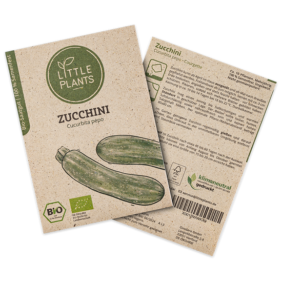 Bio-Zucchini (Cucurbita pepo) Courgette | 10 Pflanzen