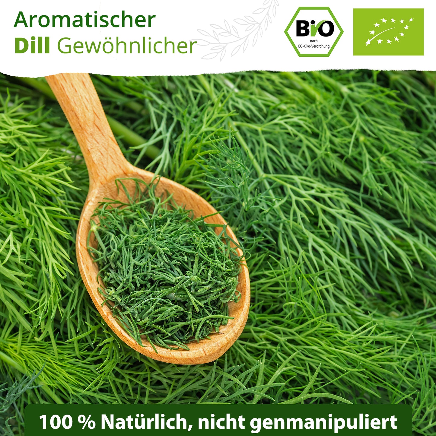 Bio-Dillsamen (Gewöhnlicher)