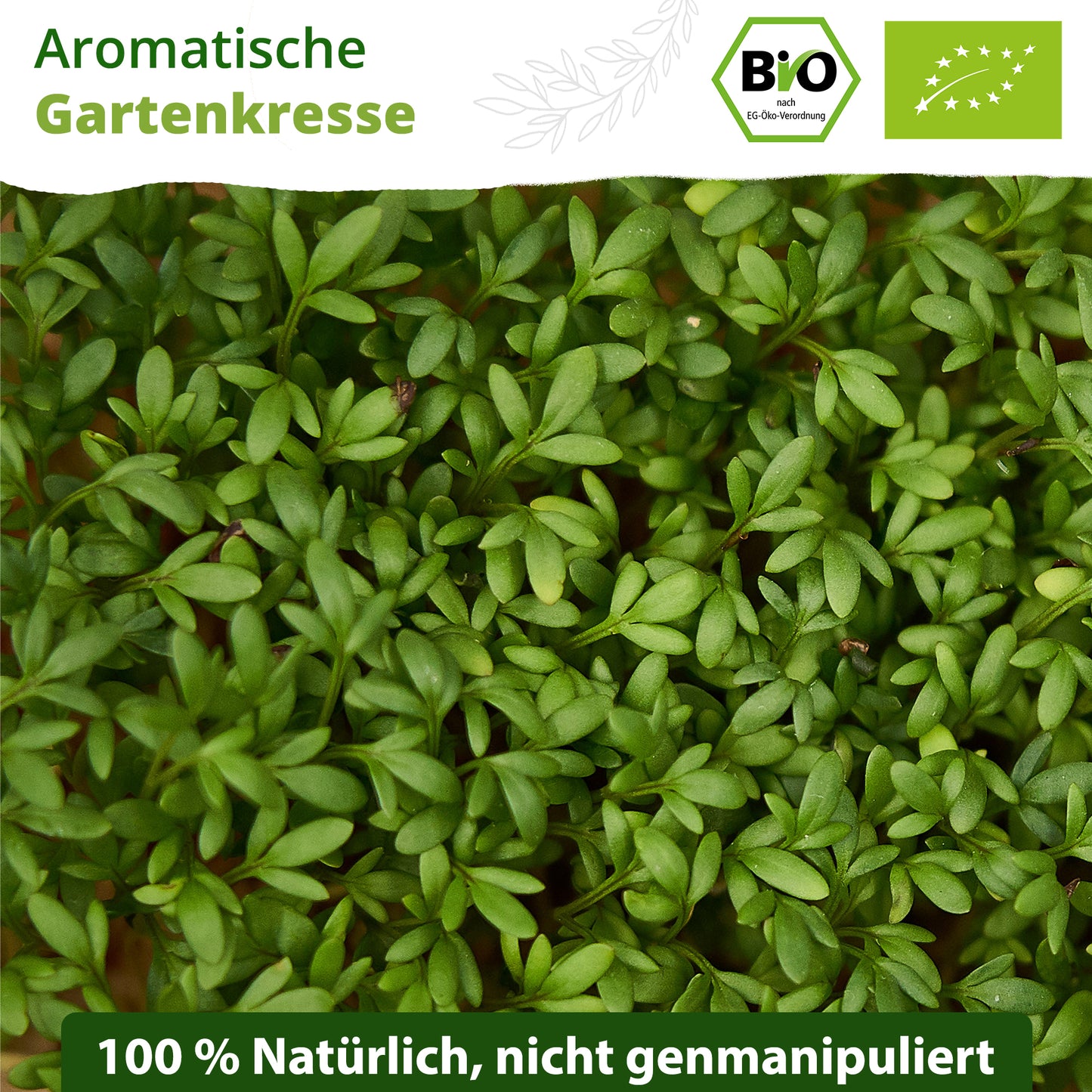 Bio-Gartenkresse