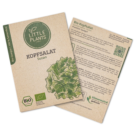 Bio-Kopfsalat (Lactuca sativa) Suzan | 180 Pflanzen
