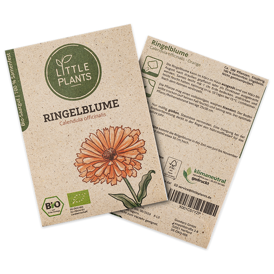 Bio-Ringelblume (Calendula officinalis) Orange | 200 Pflanzen