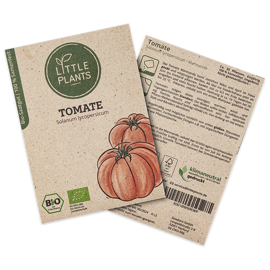 Bio-Tomate Marmande (Solanum lycopersicum) | Alte Sorte | 20 Pflanzen