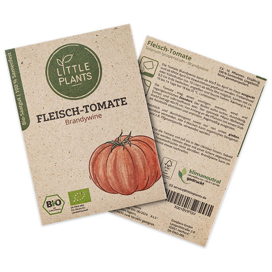 Bio-Tomate Brandywine (Solanum lycopersicum) | Alte Sorte | 15 Pflanzen