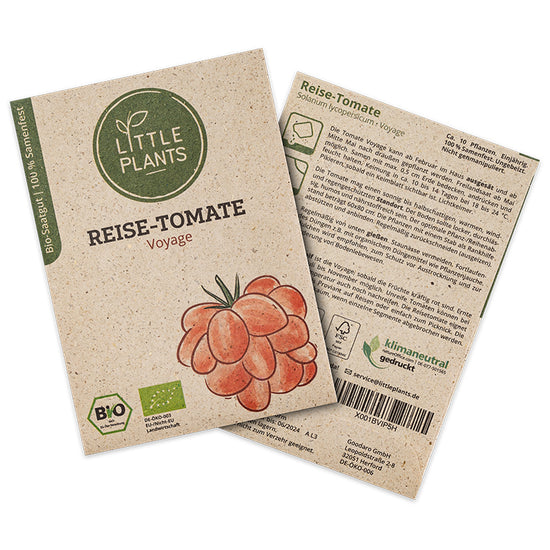 Bio-Tomate Voyage (Solanum lycopersicum) | Alte Sorte | 10 Pflanzen