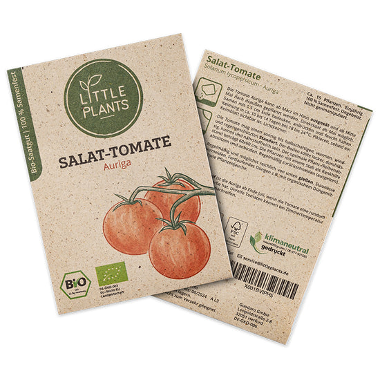 Bio-Tomaten Auriga (Solanum lycopersicum) | Alte Sorte | 15 Pflanzen