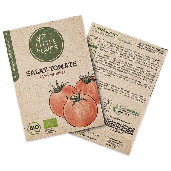 Bio-Tomate Moneymaker (Solanum lycopersicum) | Alte Sorte | 15 Pflanzen