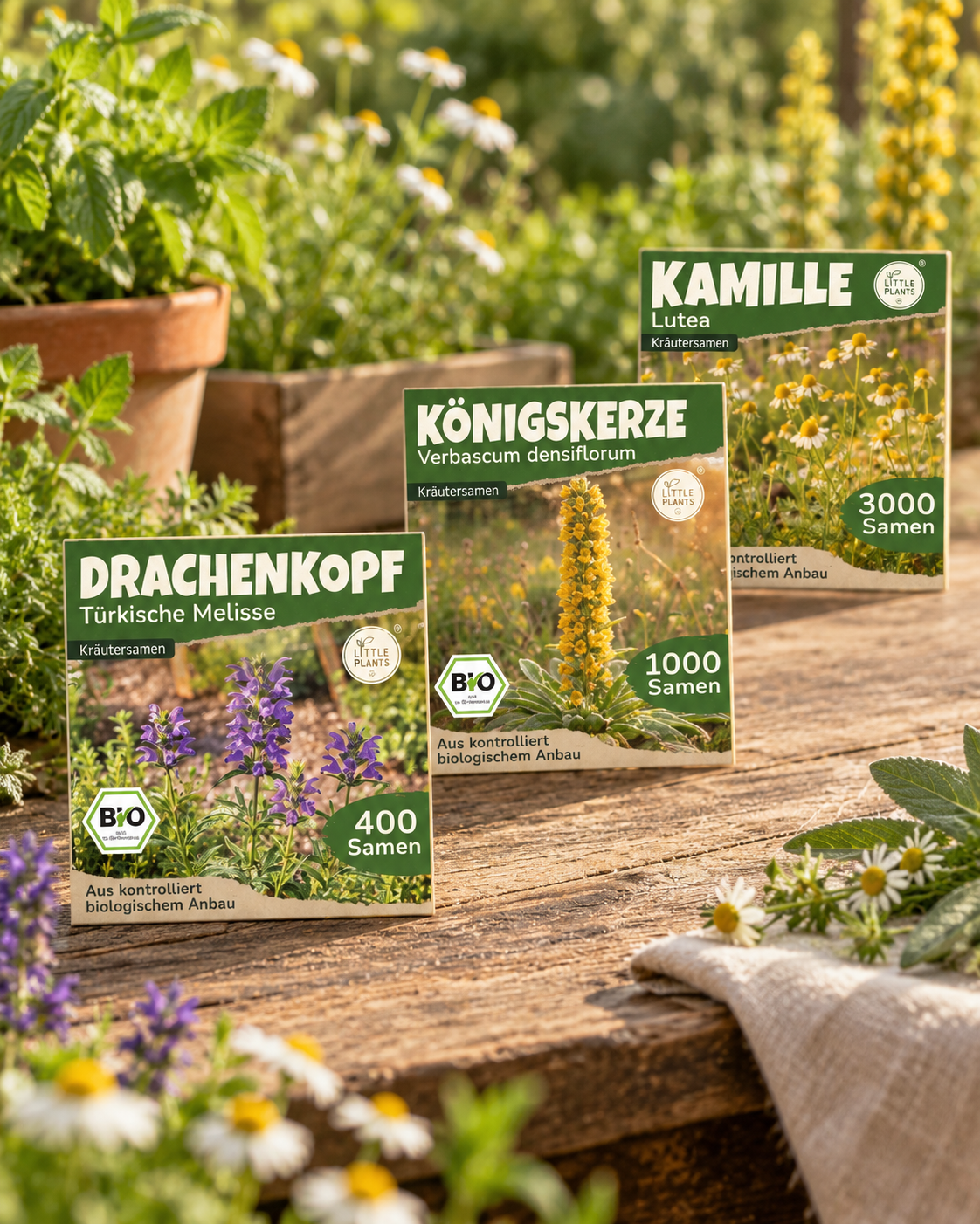 Traditionelle Heilkräuter