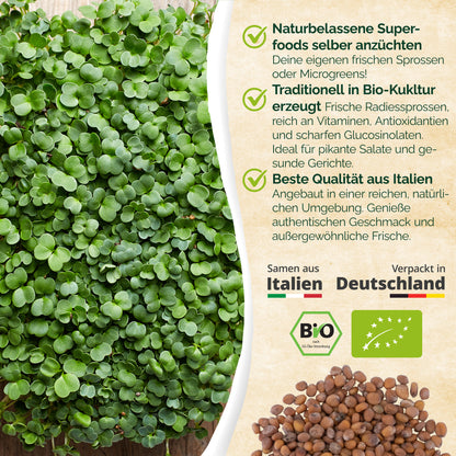 Bio Radieschen Keimsaat 250g und 500g