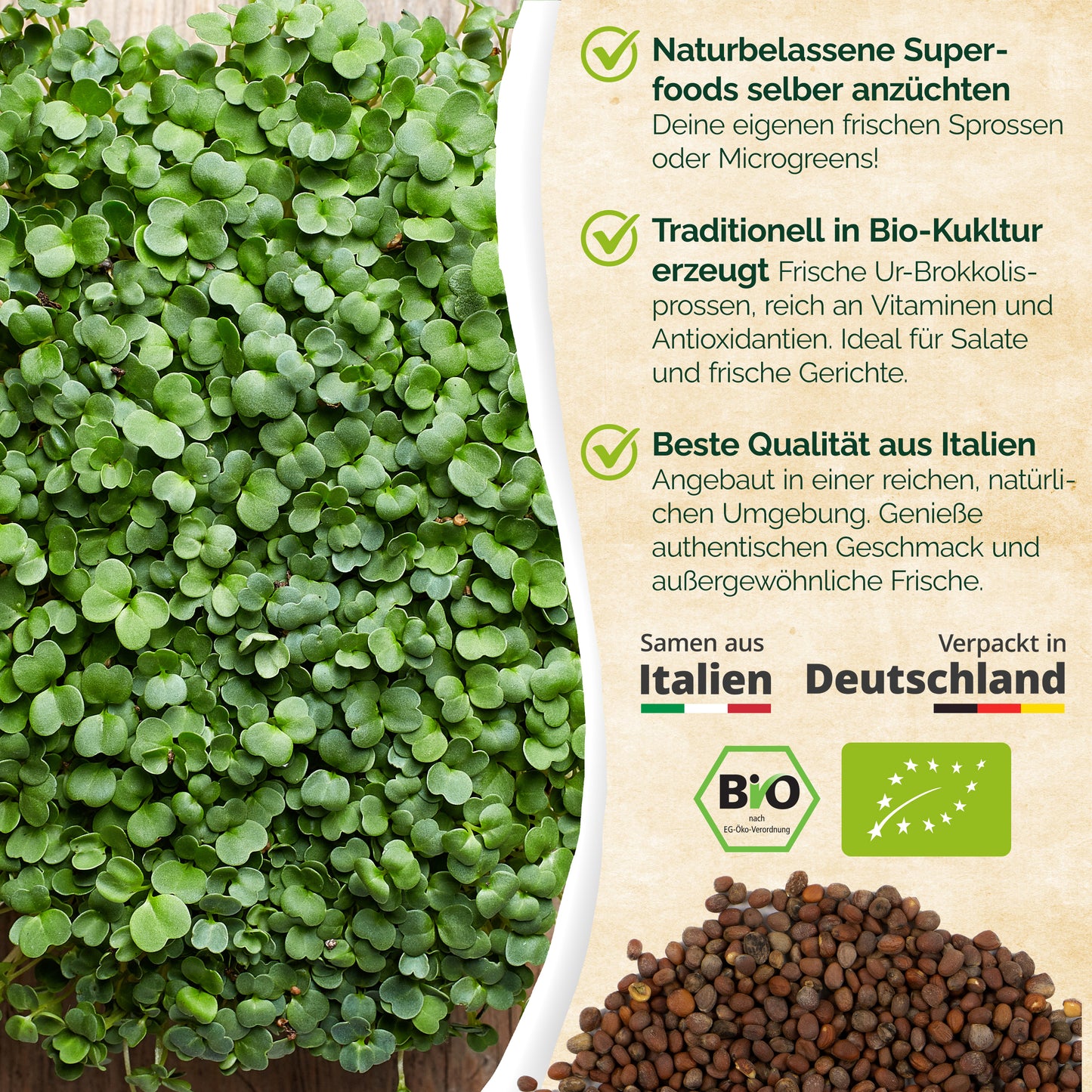 Bio UR-Brokkoli Keimsaat 250g und 500g