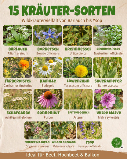 Bio-Wildkräuterset mit 15 Sorten