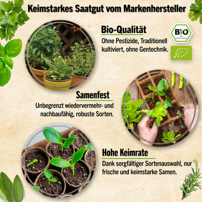 Bio Kräutersamen Probierset mit 15 Sorten