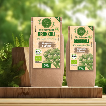 Bio Brokkoli Keimsaat 250g und 500g