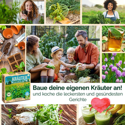 Bio Kräutersamen Probierset mit 15 Sorten