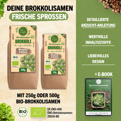 Bio Brokkoli Keimsaat 250g und 500g