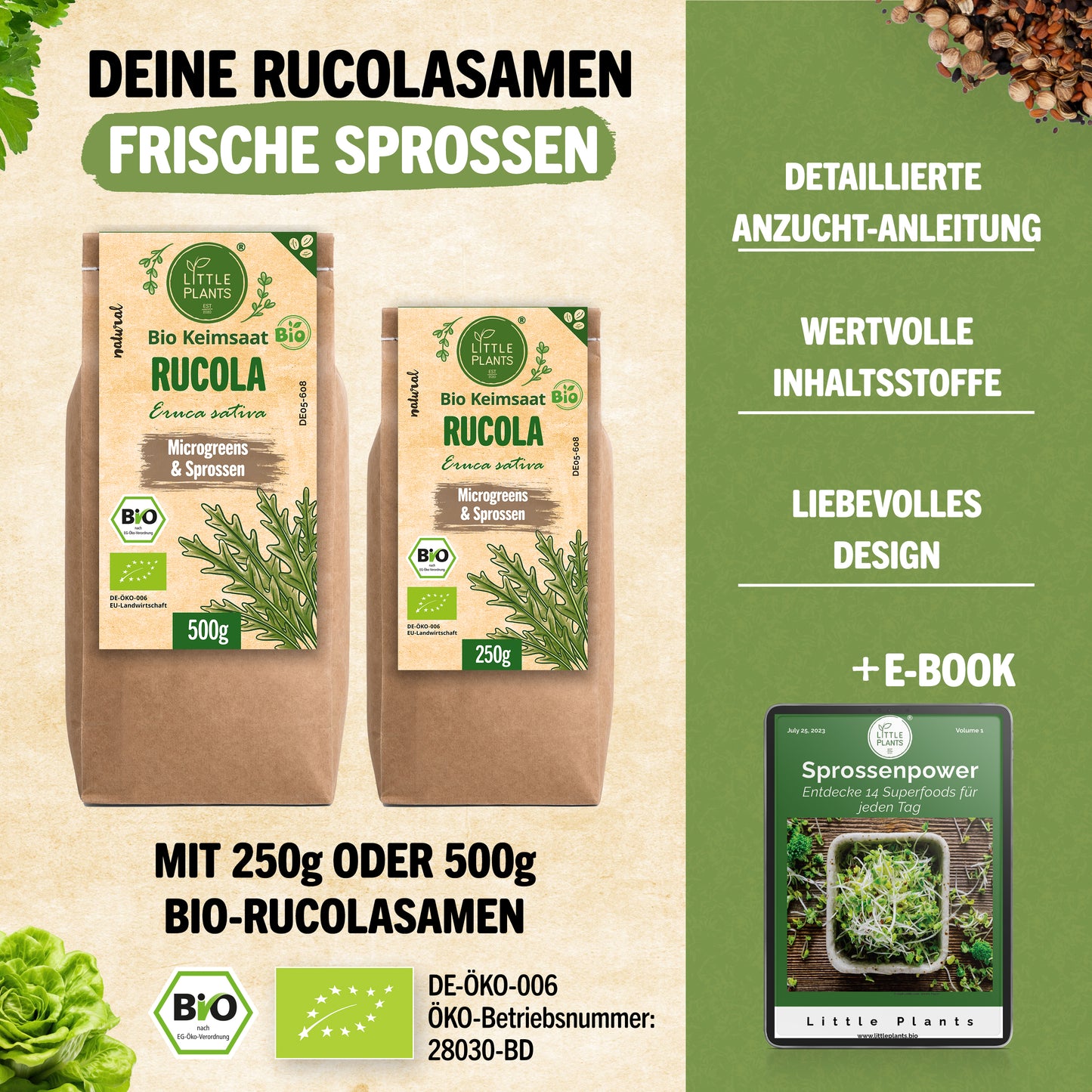 Bio Rucola Keimsaat 250g und 500g