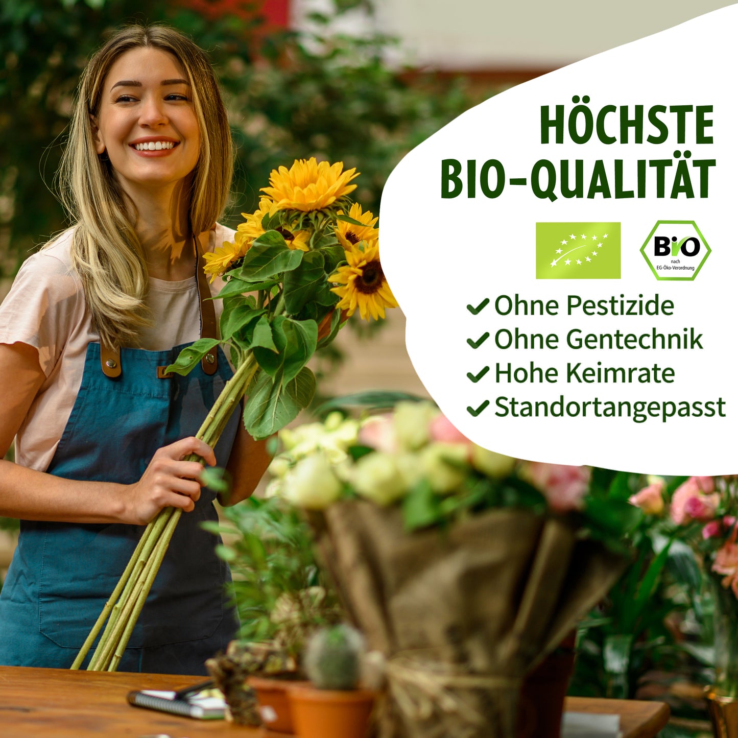 Bio-Sonnenblumen Samen Set mit 6 beliebten Sorten