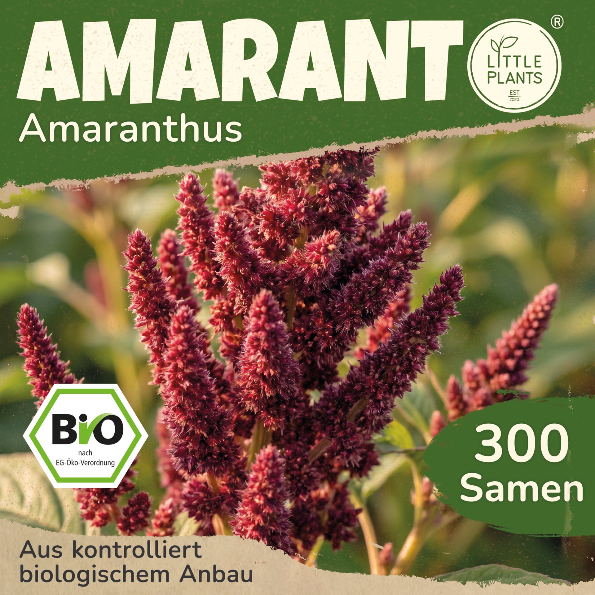 Bio-Amarant – Little Plants