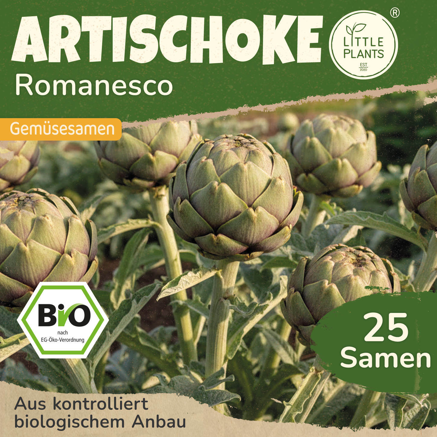 Bio-Artischoke (Romanesco)