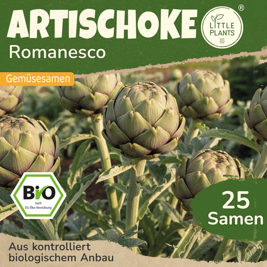 Bio-Artischoke (Romanesco)