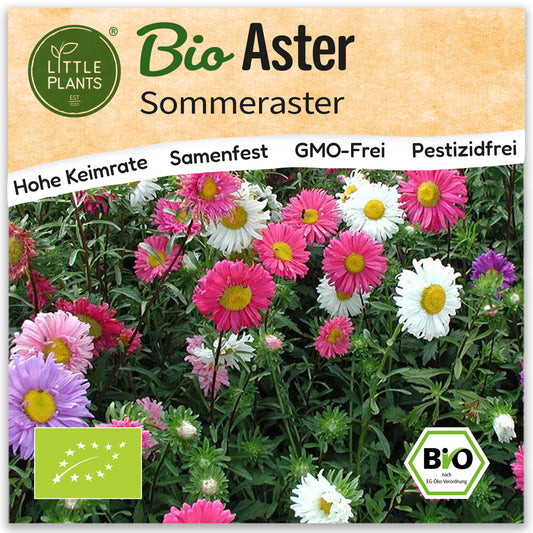 Bio-Aster (Sommer)