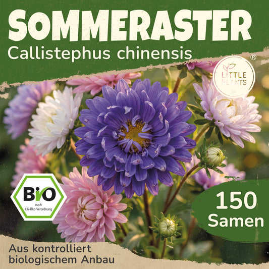 Bio-Aster (Sommer)