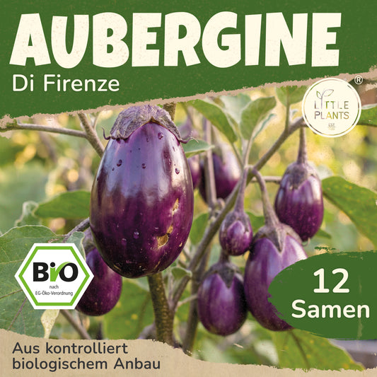 Bio-Aubergine (Di firenze)