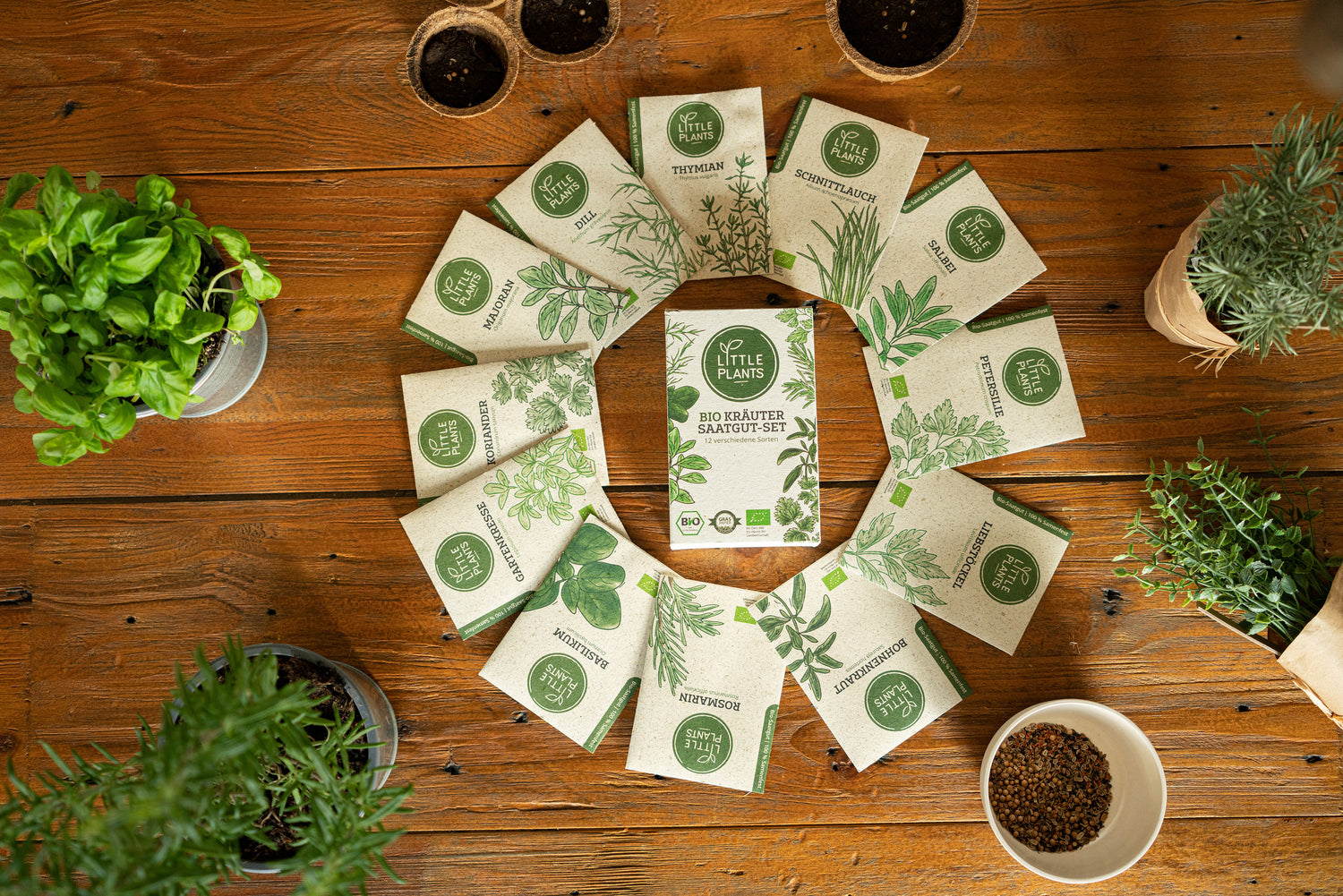 Loveplants Assortiment de Graines Bio - Légumes pour Balcon & Potager  Surélevé, 1 kit - Bloomling