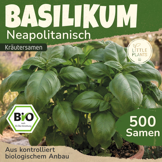 Bio-Basilikum (Neapoletanisch)
