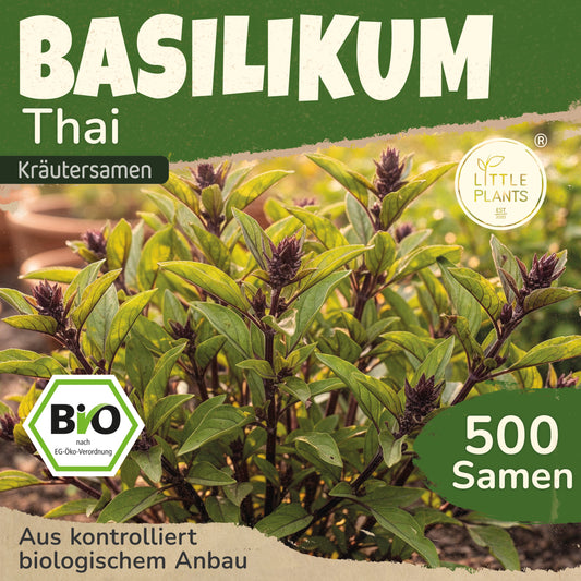 Bio-Basilikum (Thai)