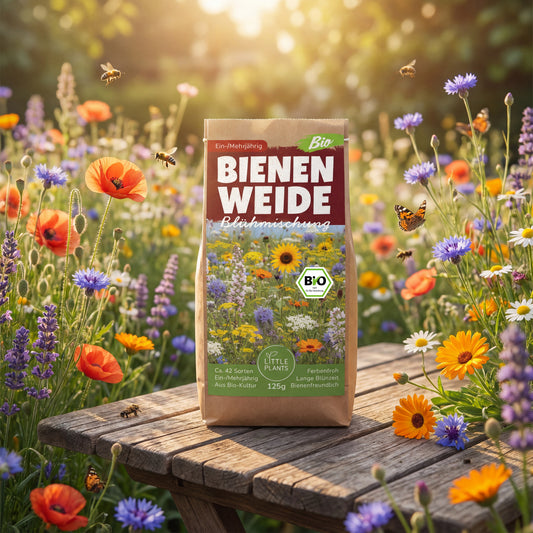 Bio Bienenweide Blühmischung Bienenparty (Mehrjährig)