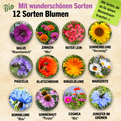 Bio-Blumensamen Set mit 12 Sorten