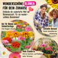 Bio-Blumensamen Set mit 12 Sorten
